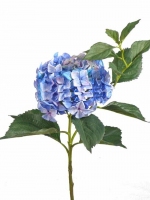 Hortensia blauw/wit JUMBO, ø25cm, 14lvs, 105cm